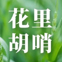hualihushao.jpg