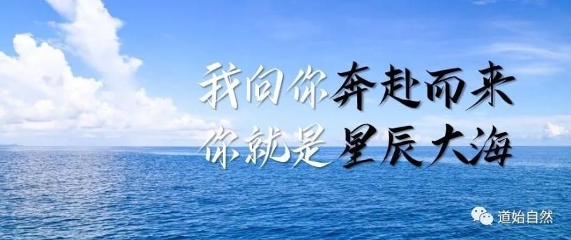 经验手札 | 如何择日（四）择日的进阶应用