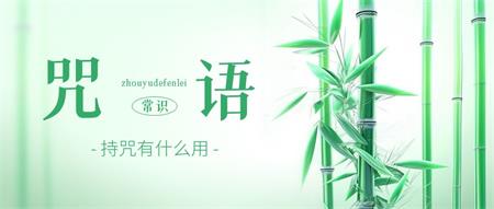 简单说一下什么是“咒语”